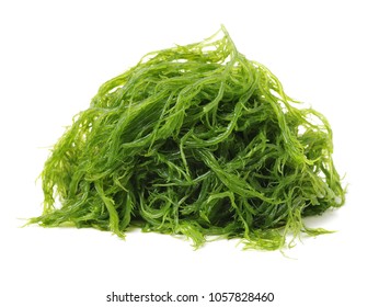 515,966 Seaweed Images, Stock Photos & Vectors | Shutterstock