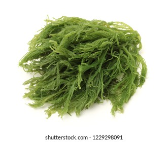 Laminaria Kelp Seaweed Isolated On White Stock Photo 1229298091 ...