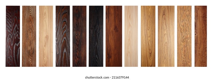 Laminate of different species on a white background