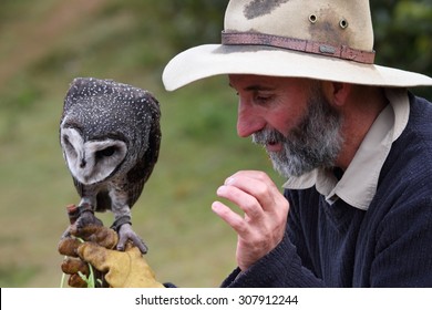 Oreillys High Res Stock Images Shutterstock