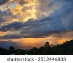 Lamington National Park in Queensland