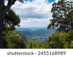 Lamington National Park, Queensland, Australia.