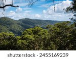 Lamington National Park, Queensland, Australia.