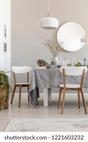 Lamp Above White Chairs And Table In Grey Dining Room Interior With Plants And Round Mirror. Real Photo