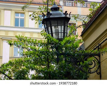 Lamp In Green, Wroclaw Old Town