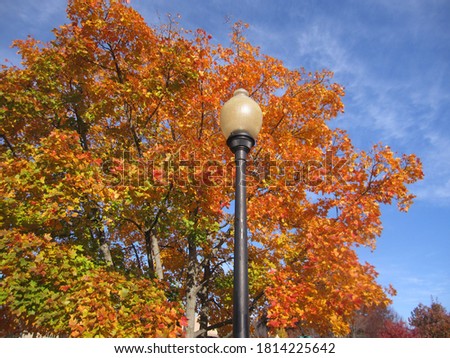 lamp post against orange fall leaves.