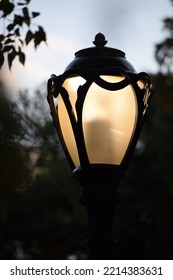 Lamp Post In Central Park 