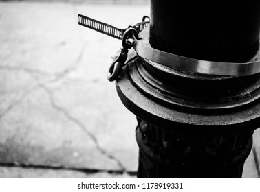 Lamp Post Close Up, Black And White