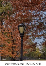 Lamp post with fall foliage in the background in central park