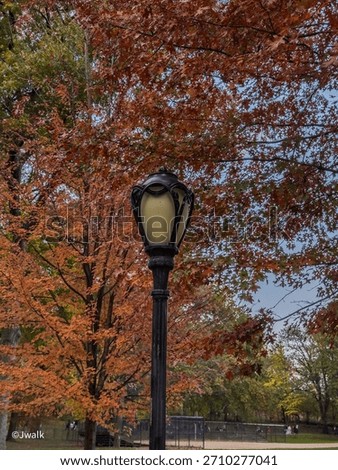 Lamp post with fall foliage in the background in central park