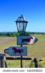 Lamp post with indication dogs and horses