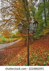 Lamp Post Near The Road, Fallen Leaves In October