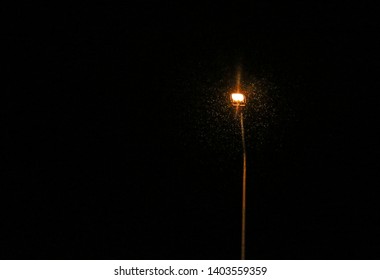 lamp post in the rain