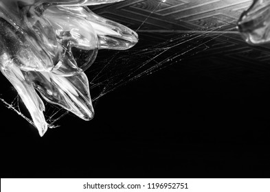 lamp with a web