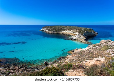 Foto Immagini E Foto Stock A Tema Isola Dei Conigli