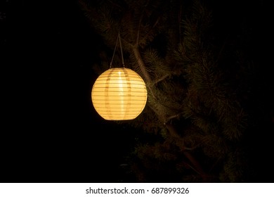 Lampion At Night