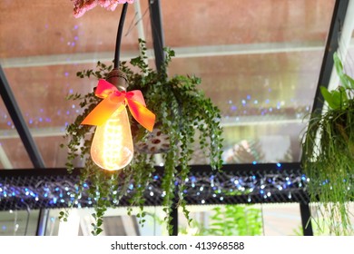 Lamp,Lightbulb
