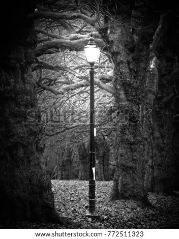lampost in the dark