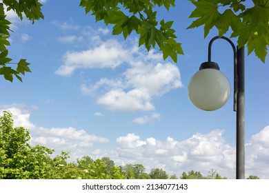 Lamppost against a blue sky, some leaves and a row of treetops