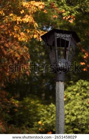 Lamppost with autumn trees in the background