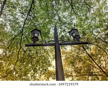 A lamppost stands tall against a backdrop of lush green leaves with the sunlight peeking through. Street Lamp in a Lush Forest - Powered by Shutterstock