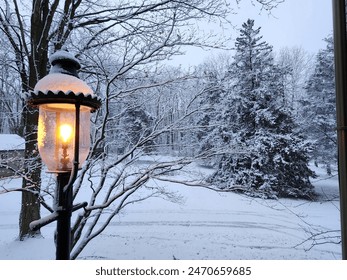 Lamppost Winter Backyard Scene with Pine Tree - Powered by Shutterstock