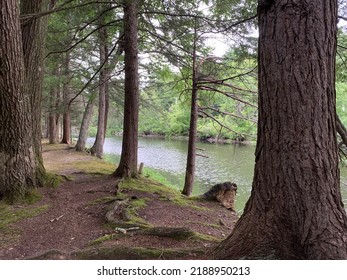 Lamprey River Very Low Levels