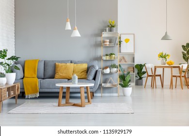 Lamps above wooden table in open space interior with yellow blanket on grey sofa. Real photo - Shutterstock ID 1135929179