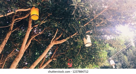 lamps in the branches of the tree