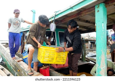 Lampung, Indonesia, 07 October 2022: Fishermen Or Crew Weigh Fish In A Basket That Has Just Been Caught On A Boat