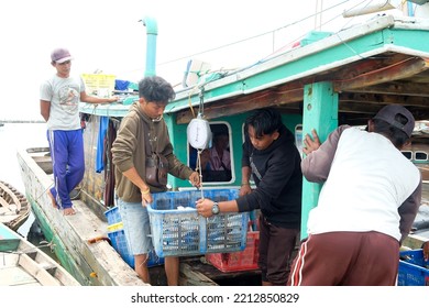 Lampung, Indonesia, 07 October 2022: Fishermen Or Crew Weigh Fish In A Basket That Has Just Been Caught On A Boat