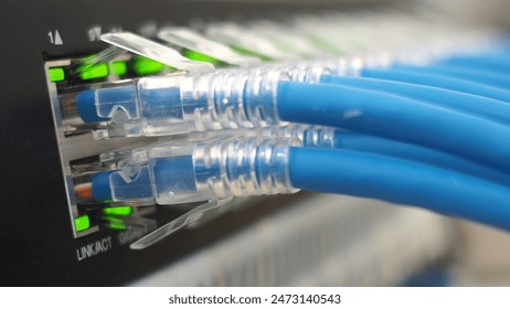 lan cable connected use for network product concept. closeup photo.