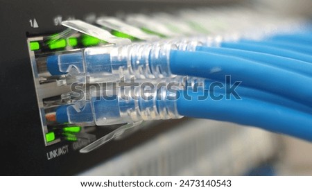 lan cable connected use for network product concept. closeup photo.