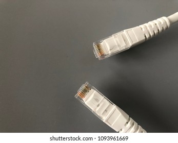 LAN cable on  Gray background.