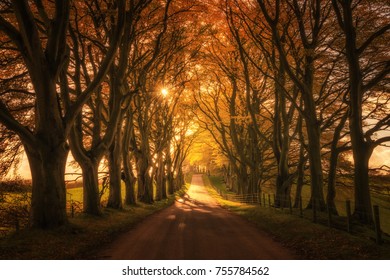 Lanarkshire Autumn Sunset