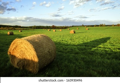 Lancaster County, Pennsylvania Farm Late Afternoon In Summer