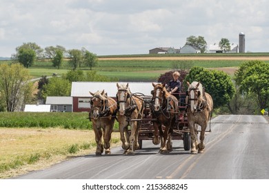 Lancaster County, Pennsylvania-May 5, 2022: Amish farmer drives his team of horses pulling farm equipment down a rural road in Lancaster County, Pa.