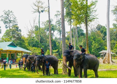 kuala krau