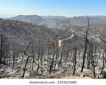 Land after recent wildfire. Dead forest, barren of plants mountains with burned trees trunks. Roads cut trough burnt down hillsides. Site of bushfire, Mediterranean landscape after disaster. Greece. - Powered by Shutterstock