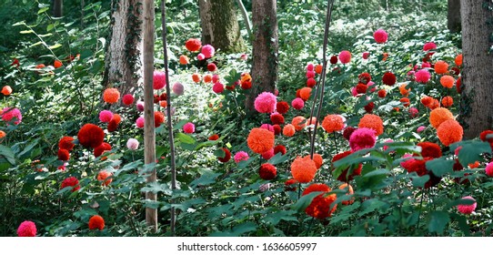 Land Art Project Stadtpark Erding  In Red Orange And Pink