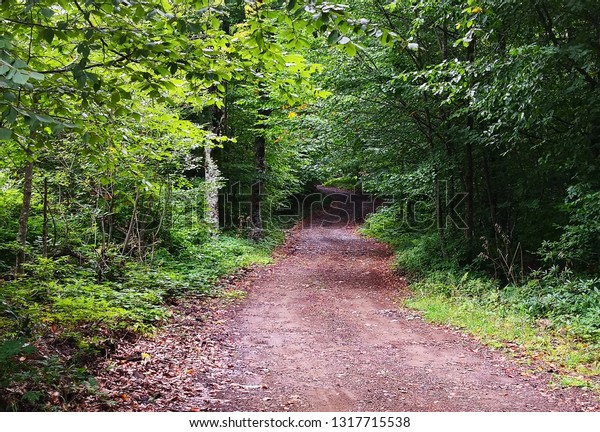 Land car path in the\
village. In nature