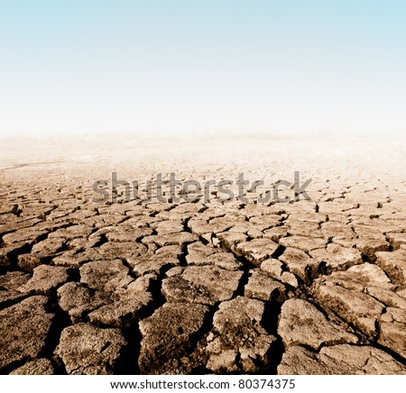  land with dry cracked ground
