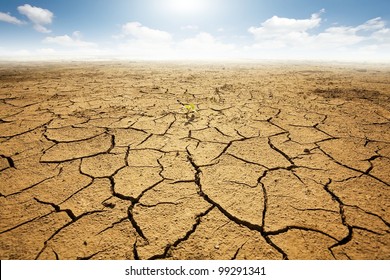 Land With Dry And Cracked Ground. Desert