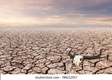 Land with dry and cracked ground. Desert,Global warming background