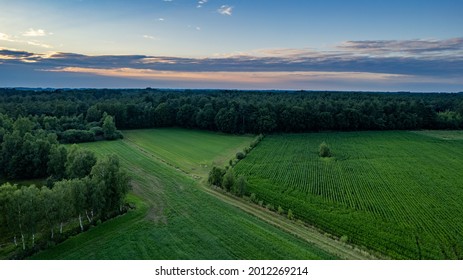 Land Or Landscape Of Green Field In Aerial View. Include Agriculture Farm, House Building, Village. That Real Estate Or Property. Plot Of Land For Housing Subdivision, Development, Sale Or Investment