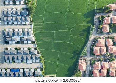 Land Or Landscape Of Green Field In Aerial View. Include Agriculture Farm, House Building, Village. That Real Estate Or Property. Plot Of Land To Housing Construction In Chiang Mai Of Thailand.