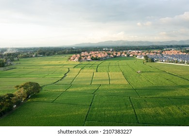 Land Or Landscape Of Green Field In Aerial View. Include Agriculture Farm, House Building, Village. That Real Estate Or Property. Plot Of Land To Housing Subdivision, Development, Sale Or Investment.
