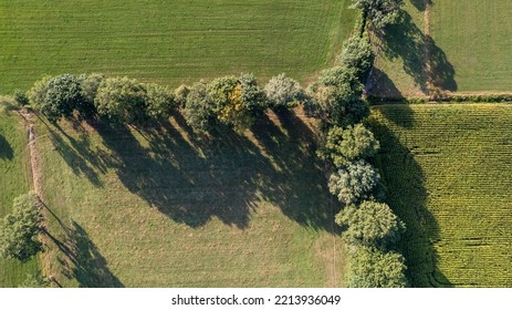 Land Or Landscape Of Green Field In Aerial View. Include Agriculture Farm, House Building, Village. That Real Estate Or Property. Plot Of Land For Housing Subdivision, Development, Sale Or Investment