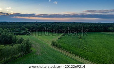 Land or landscape of green field in aerial view. Include agriculture farm, house building, village. That real estate or property. Plot of land for housing subdivision, development, sale or investment