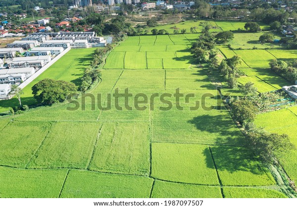 Land or landscape of green field in aerial\
view. Include agriculture farm, house building, village. That real\
estate or property. Plot of land for housing subdivision,\
development, sale or\
investment.